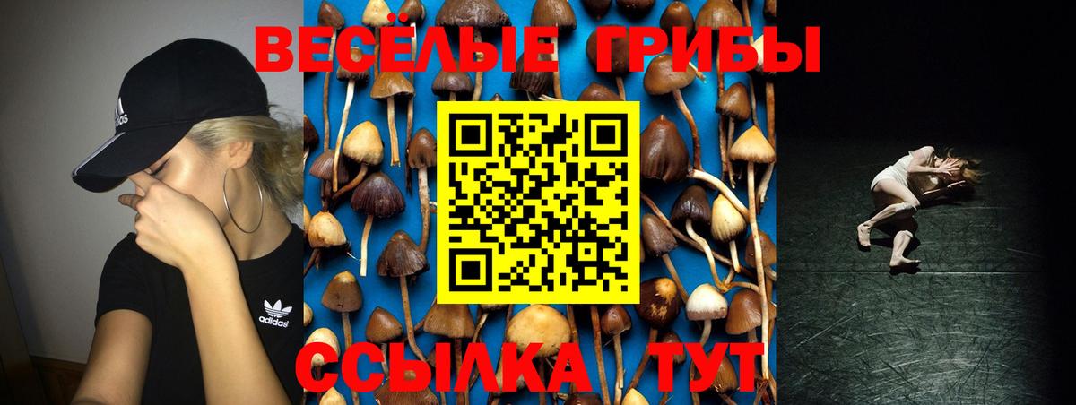 Псилоцибиновые грибы MAGIC MUSHROOMS Первоуральск