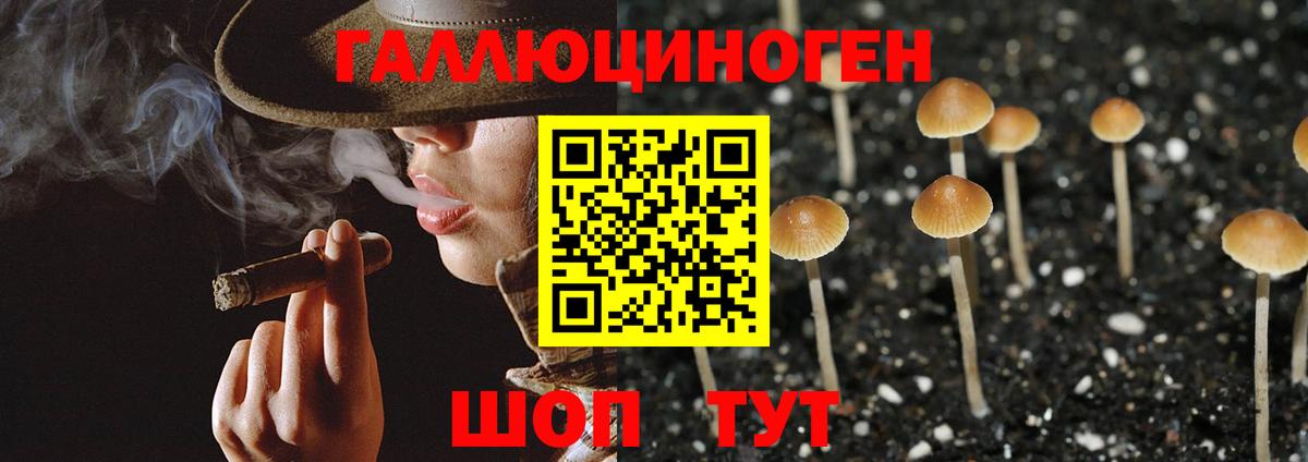 Первоуральск  Псилоцибиновые грибы GOLDEN TEACHER  Вход с VPN 